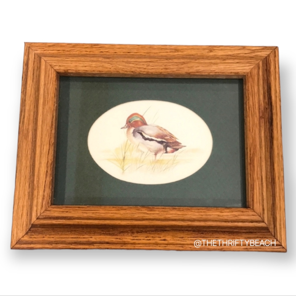 Framed Joel Kirk Duck Photo